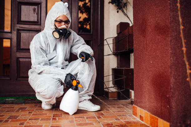 Reliable Bed Bug Control contractor in Shingle Springs, CA by Nex Pest Control