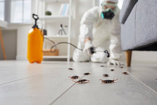 Trusted Fumigation Services service in Shingle Springs, CA - Nex Pest Control