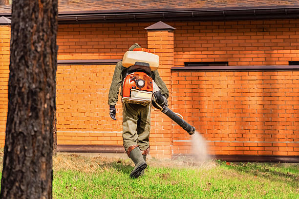 Trusted Termite Control service in Shingle Springs, CA - Nex Pest Control